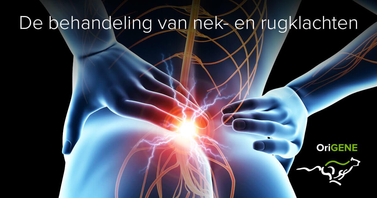 Rugklachten? Probeer de succesvolle Origene-rugtherapie