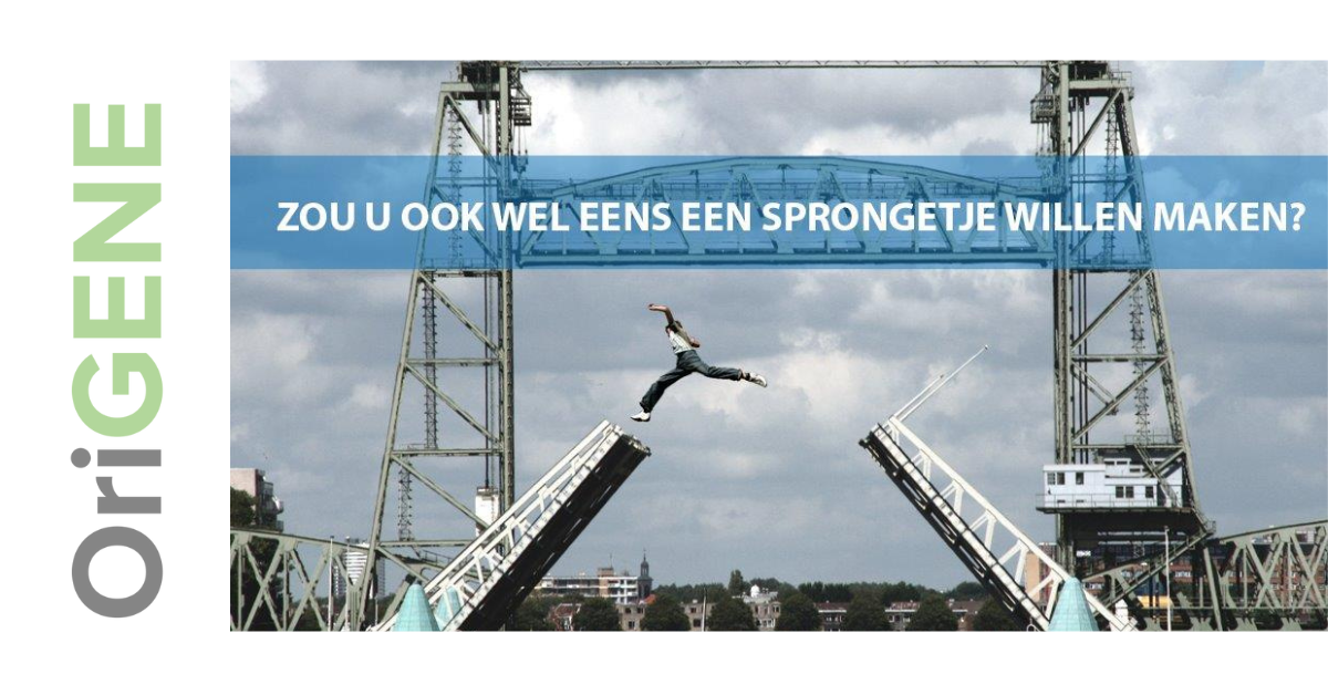 Het succes verklaard